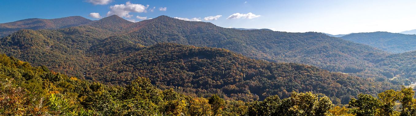 When it is time to Sell Land for the best price turn to the professionals at Allen Tate and land broker Dwain Ammons (828) 447-0036.